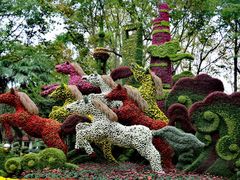 -上海共青森林公园