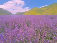 -墨石公园景区