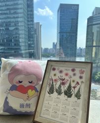 -巍阁高端月子会所