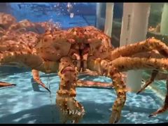 -云庭汇·粤菜海鲜(东盟盛天地店)