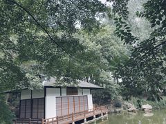 -新洲生态园