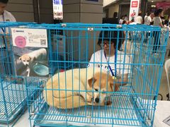 -宝龙广场(福州台江店)