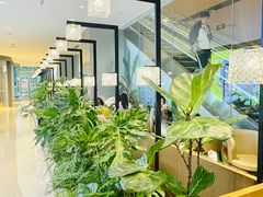 -THE WOODS 简餐 (国贸商城店)