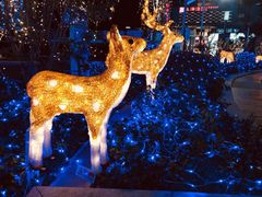 -1点点(河南中路店)