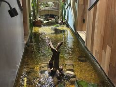 -邈墨茶馆(凤起路店)