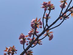 -南京奥林匹克体育中心