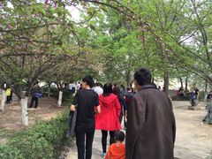 -西安青龙寺遗址景区