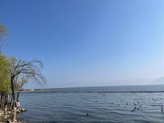 -大理洱海