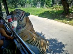 -西安秦岭野生动物园