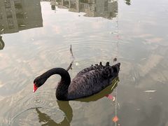 -杭州师范大学(下沙校区)