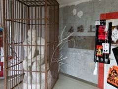 android_upload_pic-大摩华尔街生活广场