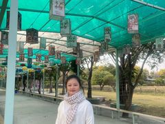 -广东花都香草世界旅游度假区