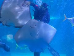 -常州海昌海洋探索馆