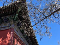 -潭柘寺景区