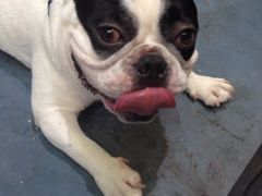 iphone_upload_pic-东浩兰生上海世博展览馆