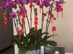 -土豆口腔(凤凰北总店)