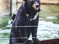 -上海野生动物园