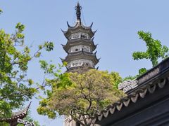 -苏州上方山国家森林公园