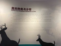 -北京麋鹿生态实验中心