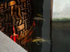 -柴米油盐(土菜院子店)