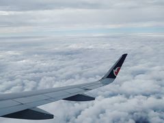 -中免(澳门机场免税店)