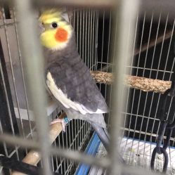 -日月刺青工作室·高端纹身