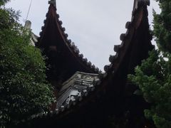 -秋霞圃