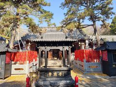 -泰山风景名胜区-普照寺