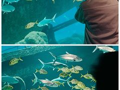 -福州罗源湾海洋世界旅游区