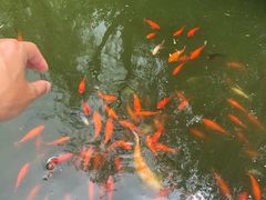 -陈云纪念馆