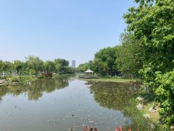 -玄武湖景区-情侣园游乐场