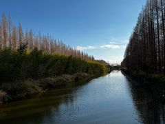 -黄海国家森林公园