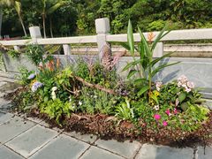 -深圳国际园林花卉博览园