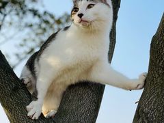 -狗舍宠物医院(四季商业广场店)