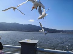 -海埂大坝