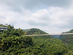-川西竹海景区