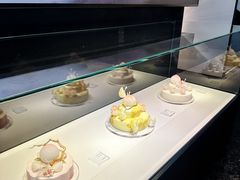 -BLACKSWAN黑天鹅(环球店)