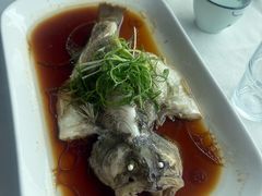 -云中小雅