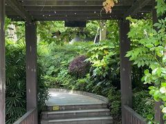 -青城道汤池