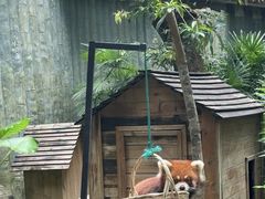 -深圳野生动物园
