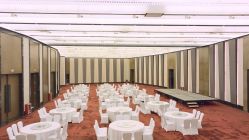 -南京华泰万丽酒店·宴会厅