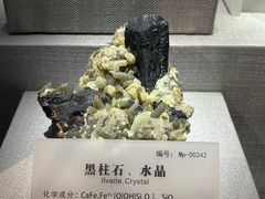 -湖南省地质博物馆