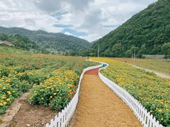 -关山草原