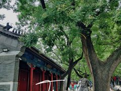 -北京第二实验小学