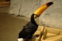 -Zoolung Zoolung动物主题公园(海信广场店)