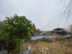 -横店影视城明清宫苑园区