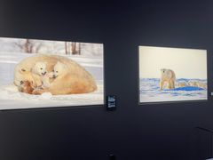 -罗红摄影艺术馆