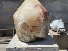 -中国地质博物馆