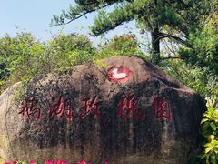 -鹅湖玫瑰文化园