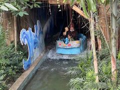 -南宫五洲植物乐园